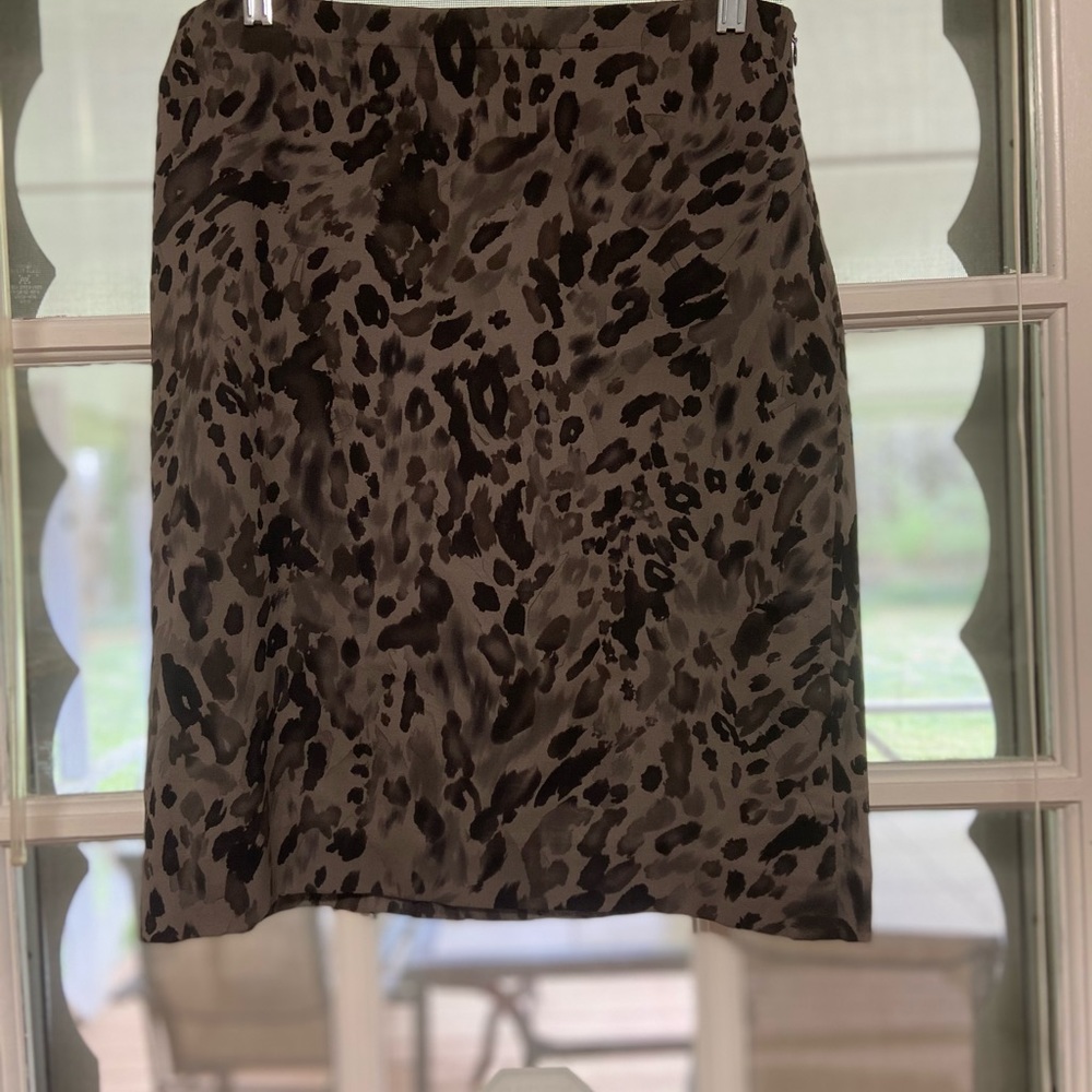 Ann Taylor skirt